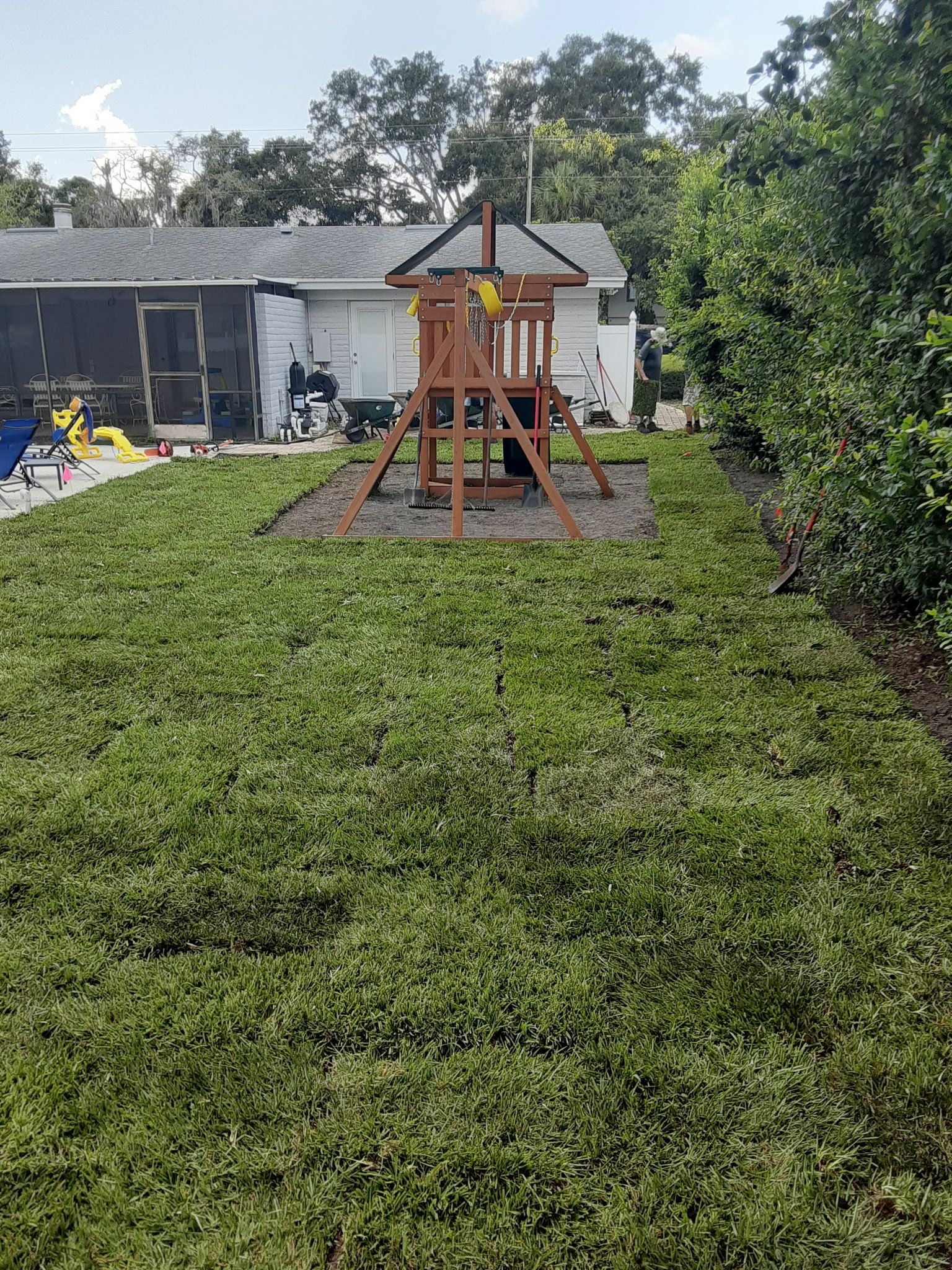 Fresh sod installed in backyard around playground