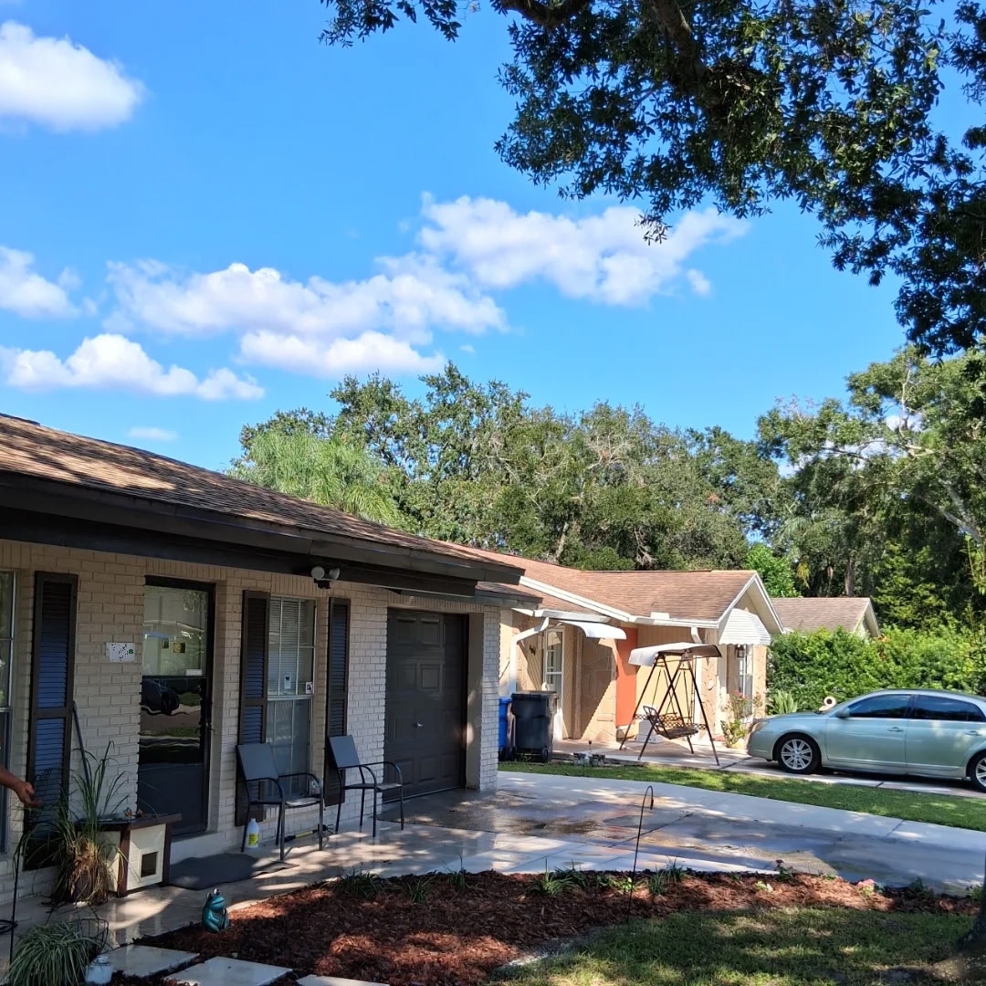 Freshly cleaned front landscaping and driveway